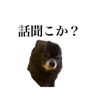 チロルの気持ち 3（個別スタンプ：2）