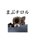 チロルの気持ち 3（個別スタンプ：3）