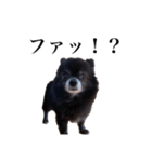 チロルの気持ち 3（個別スタンプ：5）