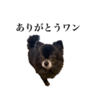 チロルの気持ち 3（個別スタンプ：6）