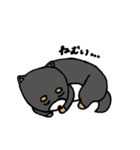 そらっこたち（個別スタンプ：5）