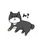 そらっこたち（個別スタンプ：7）