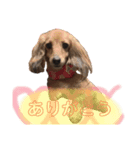 かぞくスタンプいち（個別スタンプ：5）