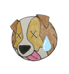 シェルティ犬（個別スタンプ：5）