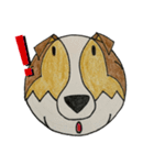 シェルティ犬（個別スタンプ：6）