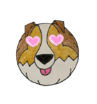 シェルティ犬（個別スタンプ：9）