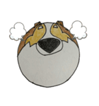 シェルティ犬（個別スタンプ：14）