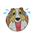 シェルティ犬（個別スタンプ：15）