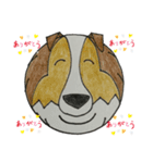 シェルティ犬（個別スタンプ：16）