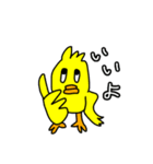 ぴよたまの日常会話（個別スタンプ：1）