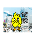 ぴよたまの日常会話（個別スタンプ：2）
