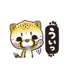 猫チーター☆1 [日常会話]（個別スタンプ：1）