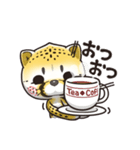 猫チーター☆1 [日常会話]（個別スタンプ：4）