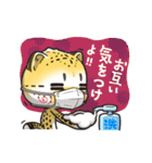 猫チーター☆1 [日常会話]（個別スタンプ：19）