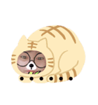 バカ将軍（個別スタンプ：3）