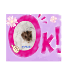 Yujuスタ（個別スタンプ：1）