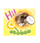 Yujuスタ（個別スタンプ：2）
