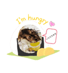 Yujuスタ（個別スタンプ：6）