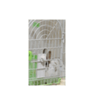 モコモコモコモコモコ（個別スタンプ：1）