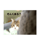 華丸（個別スタンプ：4）
