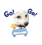 みみちゃん8連発（個別スタンプ：8）