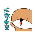泳がないラッコ 3（個別スタンプ：12）