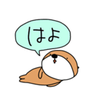 泳がないラッコ 3（個別スタンプ：40）