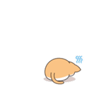 ハチワレ猫のわさび（個別スタンプ：5）
