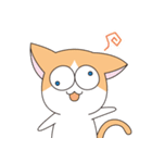 ハチワレ猫のわさび（個別スタンプ：16）