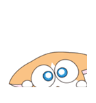 ハチワレ猫のわさび（個別スタンプ：20）