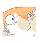 ハチワレ猫のわさび（個別スタンプ：29）