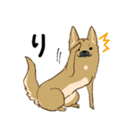適当返事のクロハナ-黒マズルの雑種犬-（個別スタンプ：1）