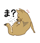 適当返事のクロハナ-黒マズルの雑種犬-（個別スタンプ：3）