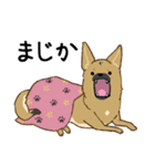 適当返事のクロハナ-黒マズルの雑種犬-（個別スタンプ：4）