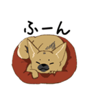 適当返事のクロハナ-黒マズルの雑種犬-（個別スタンプ：6）