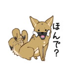 適当返事のクロハナ-黒マズルの雑種犬-（個別スタンプ：8）