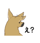 適当返事のクロハナ-黒マズルの雑種犬-（個別スタンプ：9）