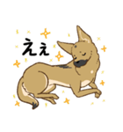 適当返事のクロハナ-黒マズルの雑種犬-（個別スタンプ：10）