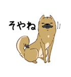 適当返事のクロハナ-黒マズルの雑種犬-（個別スタンプ：12）