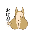 適当返事のクロハナ-黒マズルの雑種犬-（個別スタンプ：16）