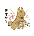 適当返事のクロハナ-黒マズルの雑種犬-（個別スタンプ：17）
