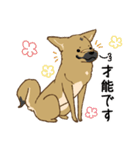 適当返事のクロハナ-黒マズルの雑種犬-（個別スタンプ：18）