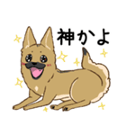 適当返事のクロハナ-黒マズルの雑種犬-（個別スタンプ：21）