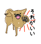 適当返事のクロハナ-黒マズルの雑種犬-（個別スタンプ：22）