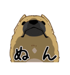 適当返事のクロハナ-黒マズルの雑種犬-（個別スタンプ：32）