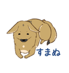 適当返事のクロハナ-黒マズルの雑種犬-（個別スタンプ：34）