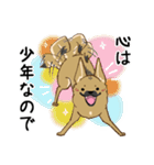 適当返事のクロハナ-黒マズルの雑種犬-（個別スタンプ：37）
