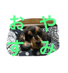 ネロSecond（個別スタンプ：5）
