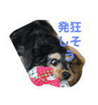 ネロSecond（個別スタンプ：6）