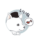 なかよし紀州犬（個別スタンプ：3）